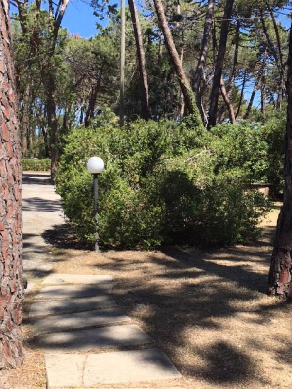 Maremmare Tuscany Apartments Principina a Mare Exteriör bild